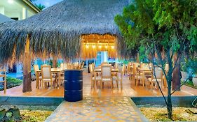 Hotel Ancor